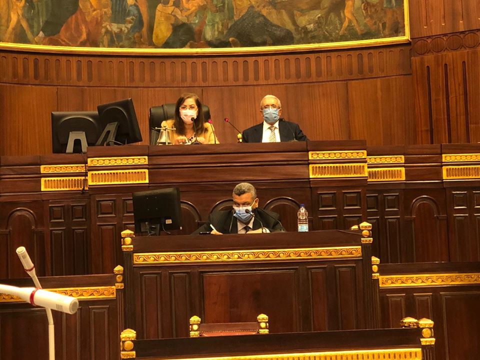 وزيرة التخطيط