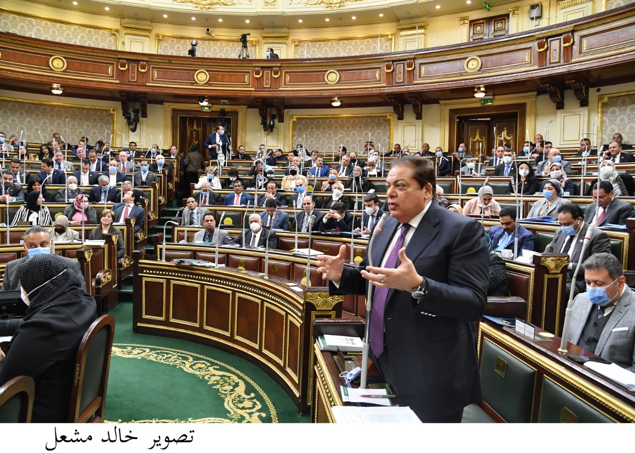 أبو العينين وكيل مجلس النواب