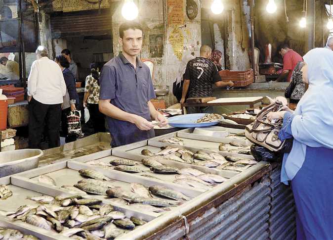 حلقة السمك في الإسكندرية