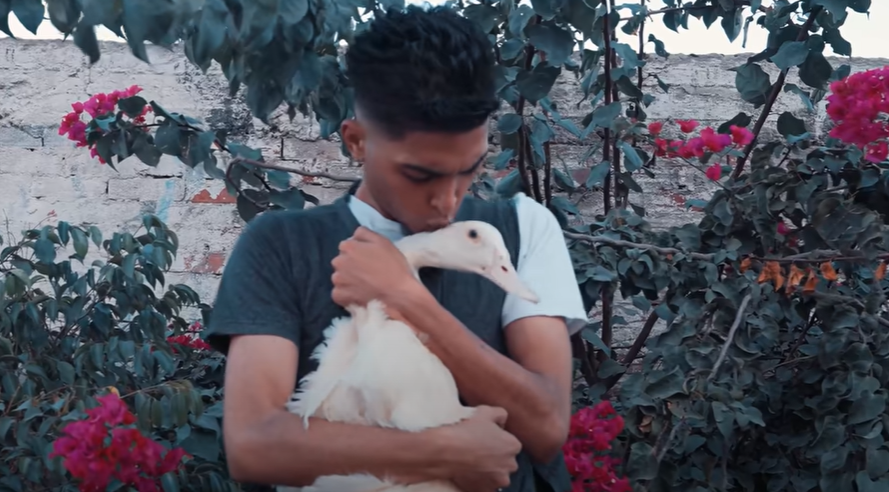 مهرجان شيماء