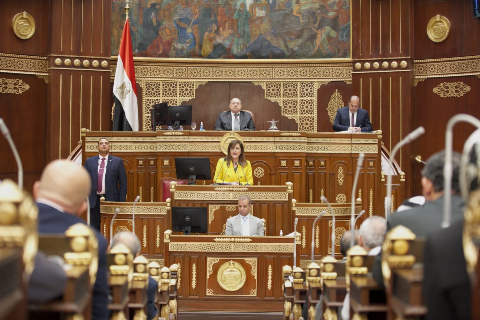 وزيرة التخطيط هالة السعيد