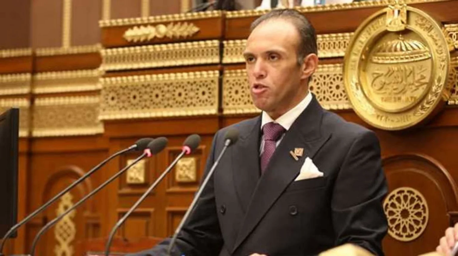 النائب محمد فريد عضو تنسيقية شباب الأحزاب والسياسيين بمجلس الشيوخ