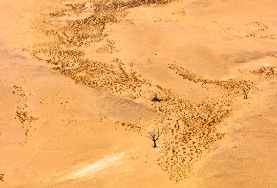 جثث فوق الرمال.. 20 ماتوا عطشا بعدما ضلوا طريقهم في صحراء ليبيا