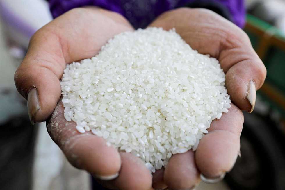 سعر الأرز اليوم الخميس في الأسواق