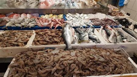 أسعار الأسماك اليوم في مصر