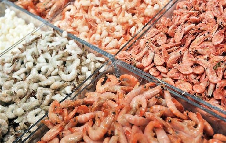 أسعار السمك اليوم الخميس