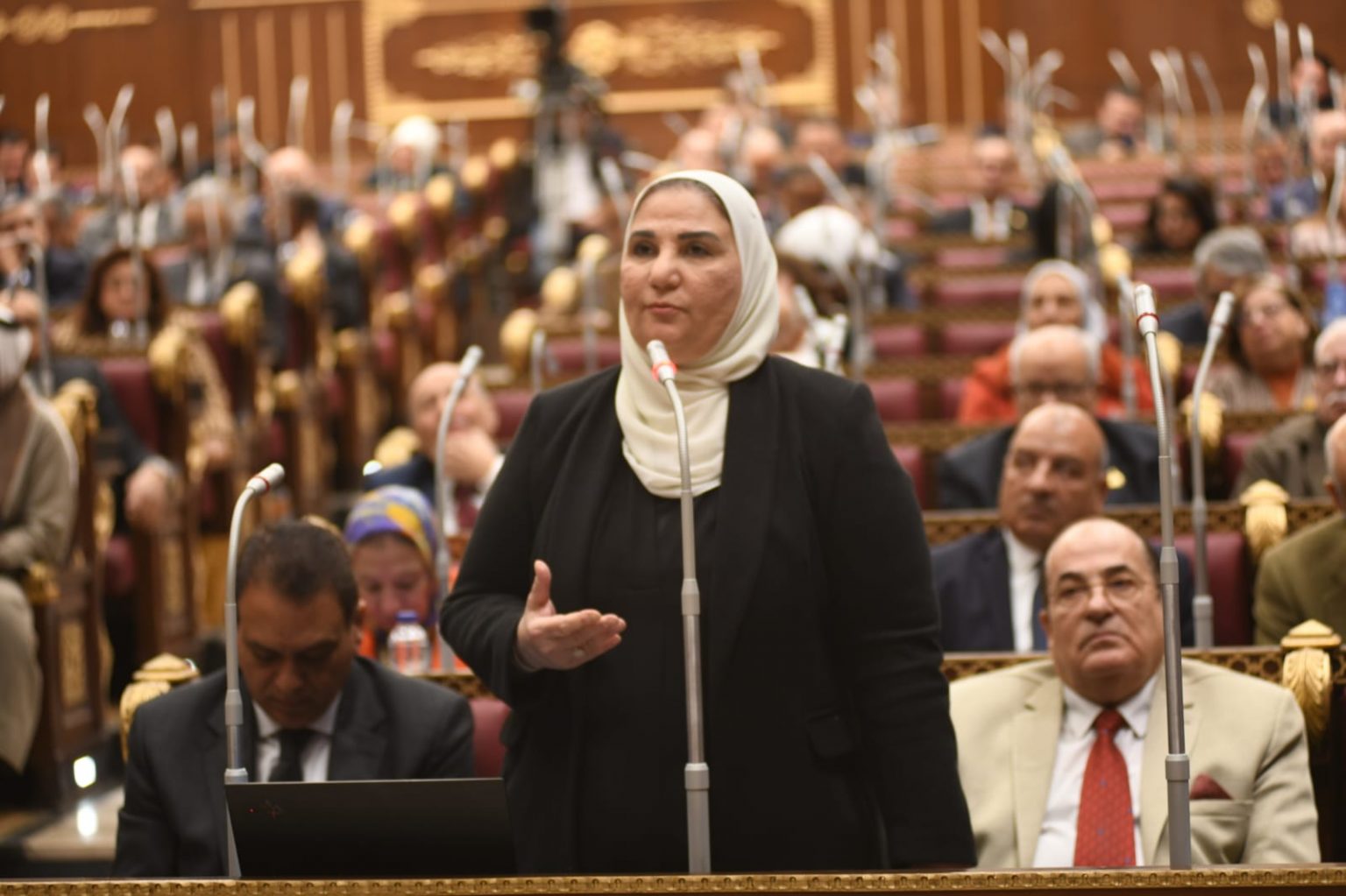 وزيرة التضامن الاجتماعي