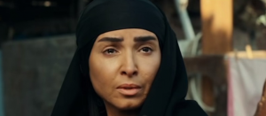 روجينا مسلسل ستهم
