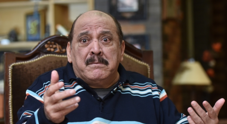 ضياء الميرغني