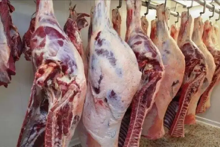 أسعار اللحوم