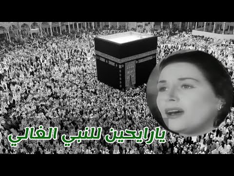 أغنية يا رايحين للنبي الغالي