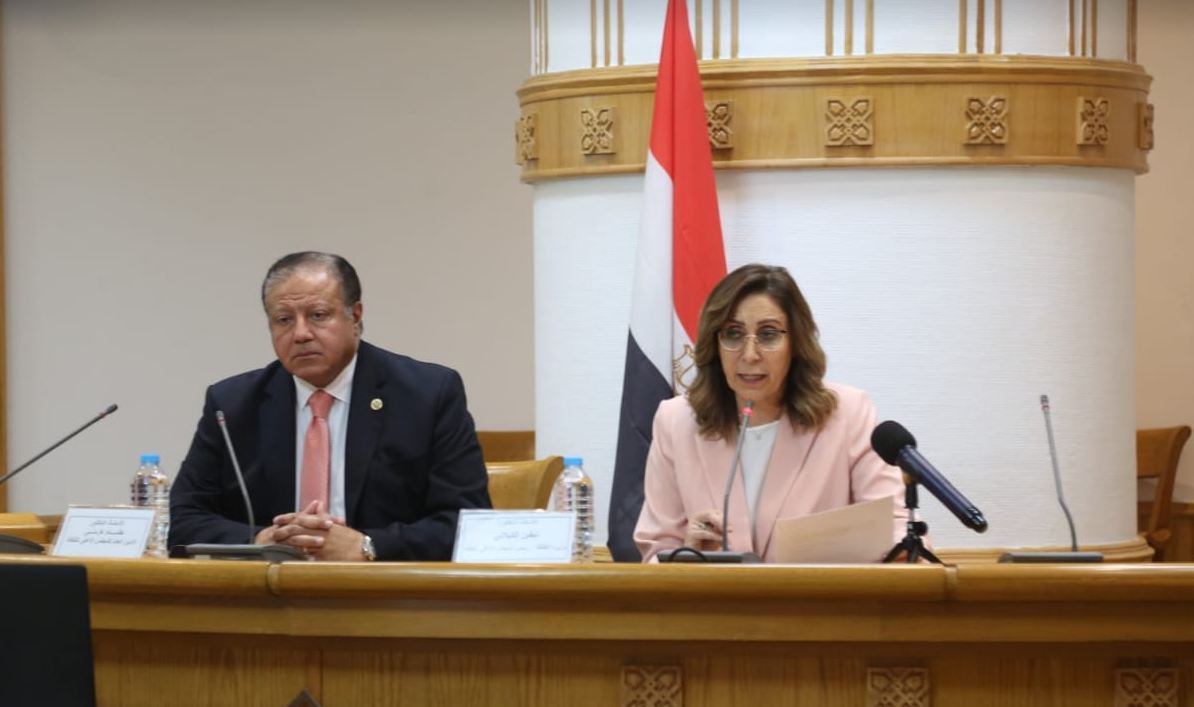 وزيرة الثقافة