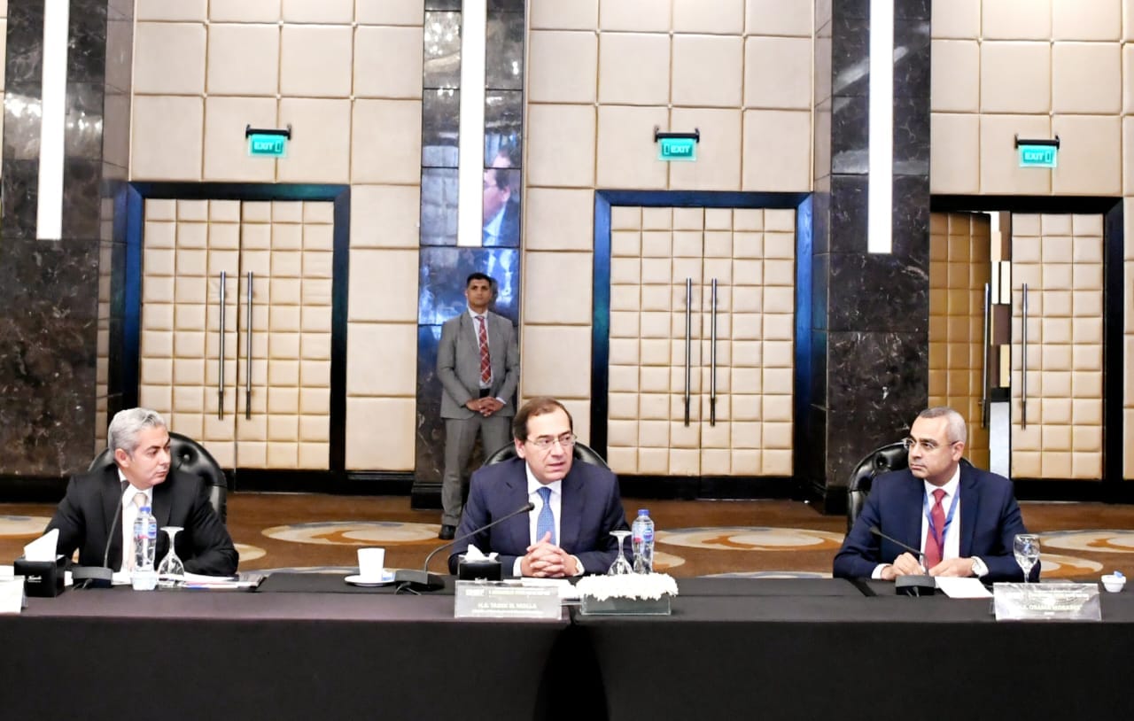 وزير البترول والثروة المعدنية
