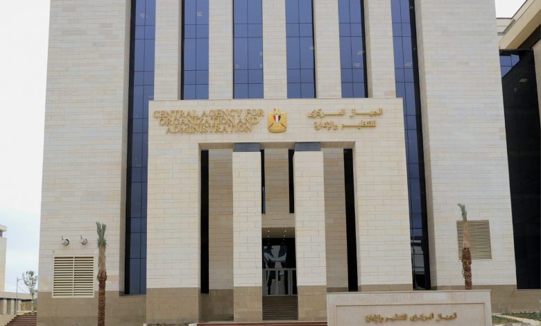 التنظيم والإدارة