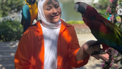 حقيقة خطوبة جنى مقداد
