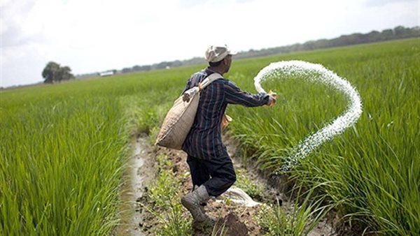 Agriculture Ministry Clarifies Fertilizer Concerns