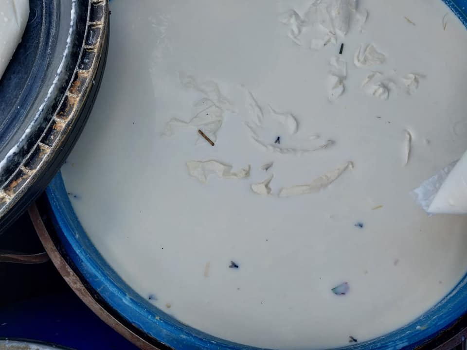 لبن ملوث