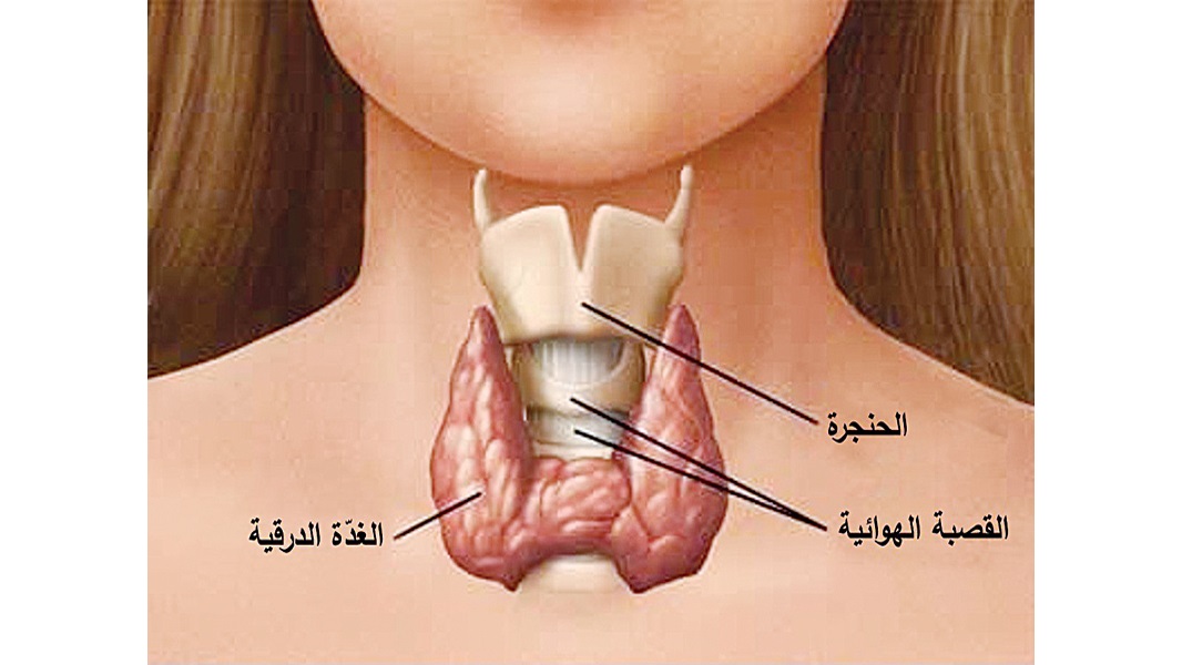 الغدة الدرقية