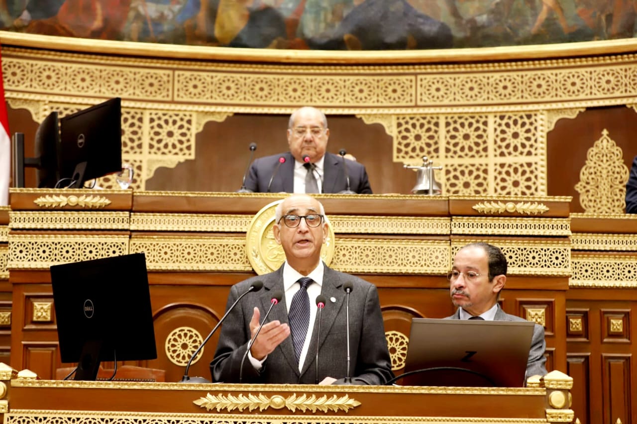 النائب حسانين توفيق خلال جلسة الشيوخ اليوم