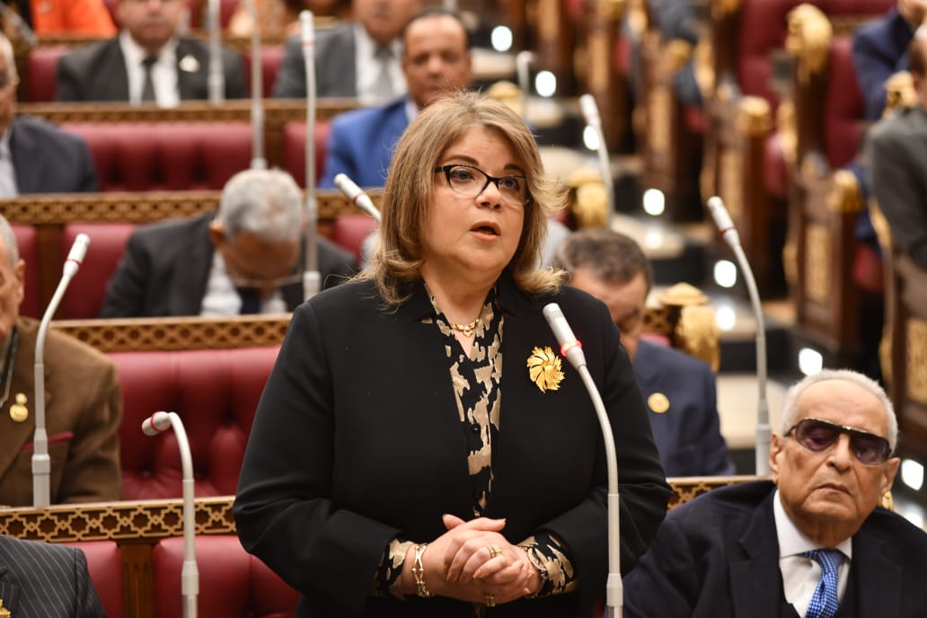 النائبة فيبي فوزي