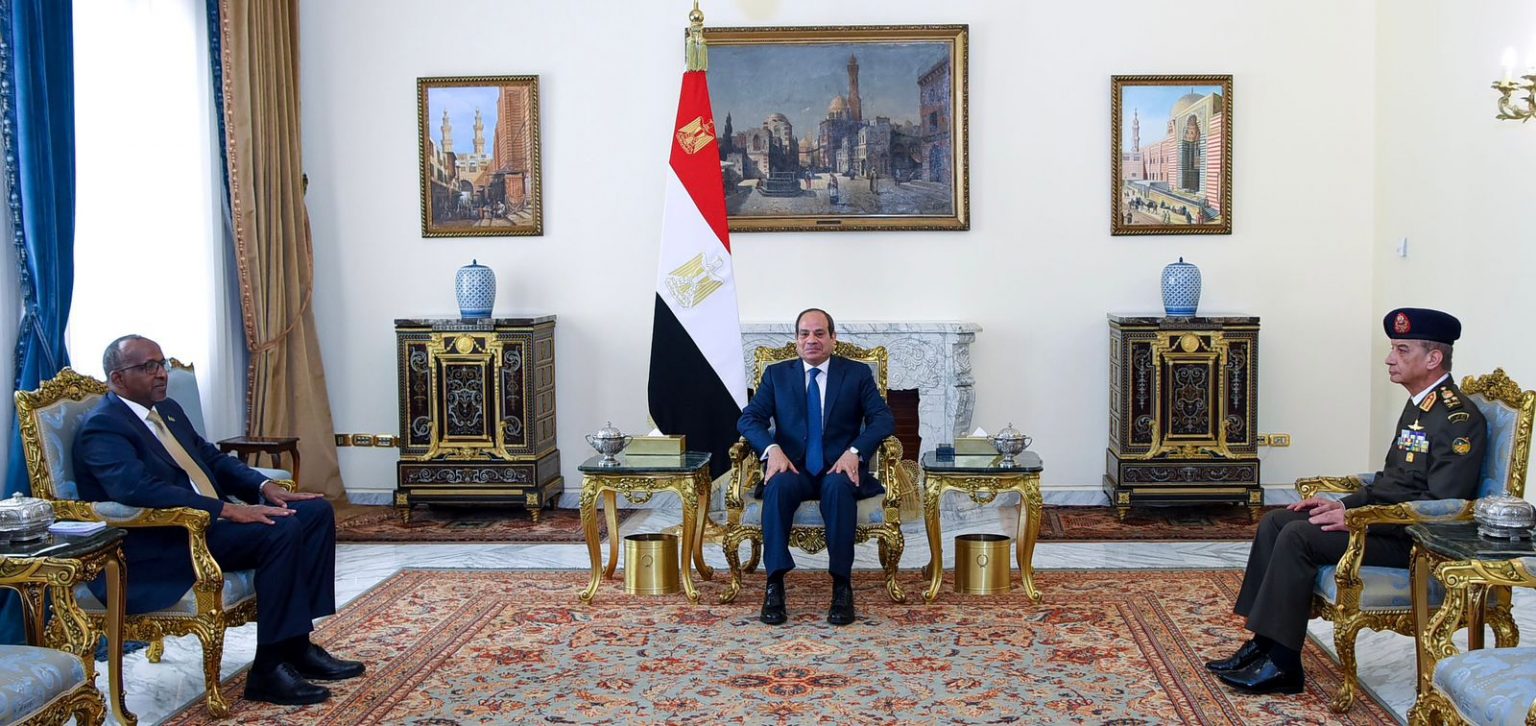 الرئيس السيسي خلال اللقاء