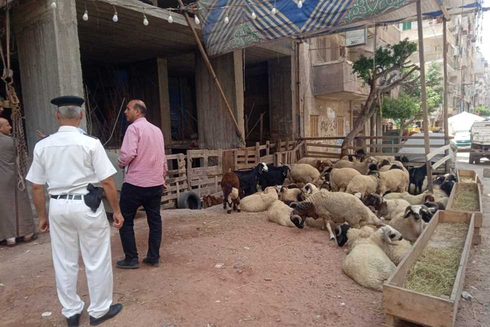 شادر الأضاحي