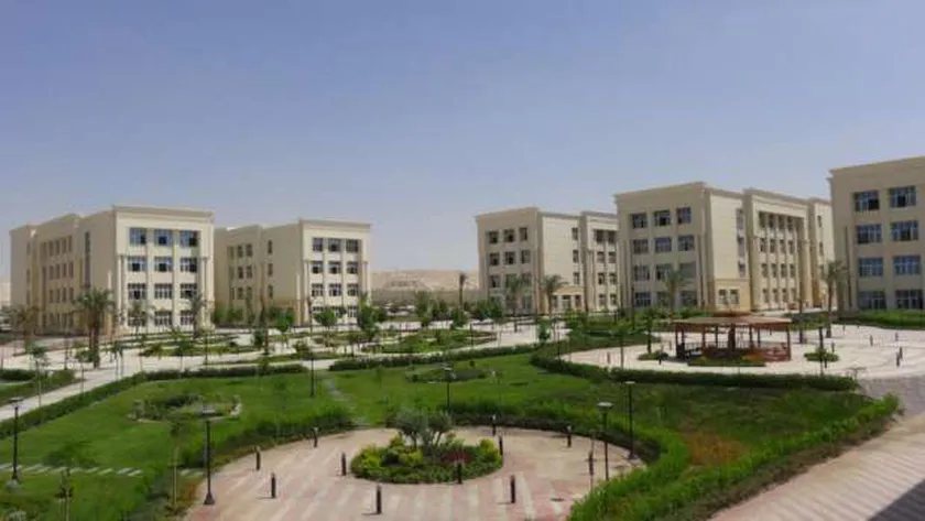 جامعة المنيا الأهلية