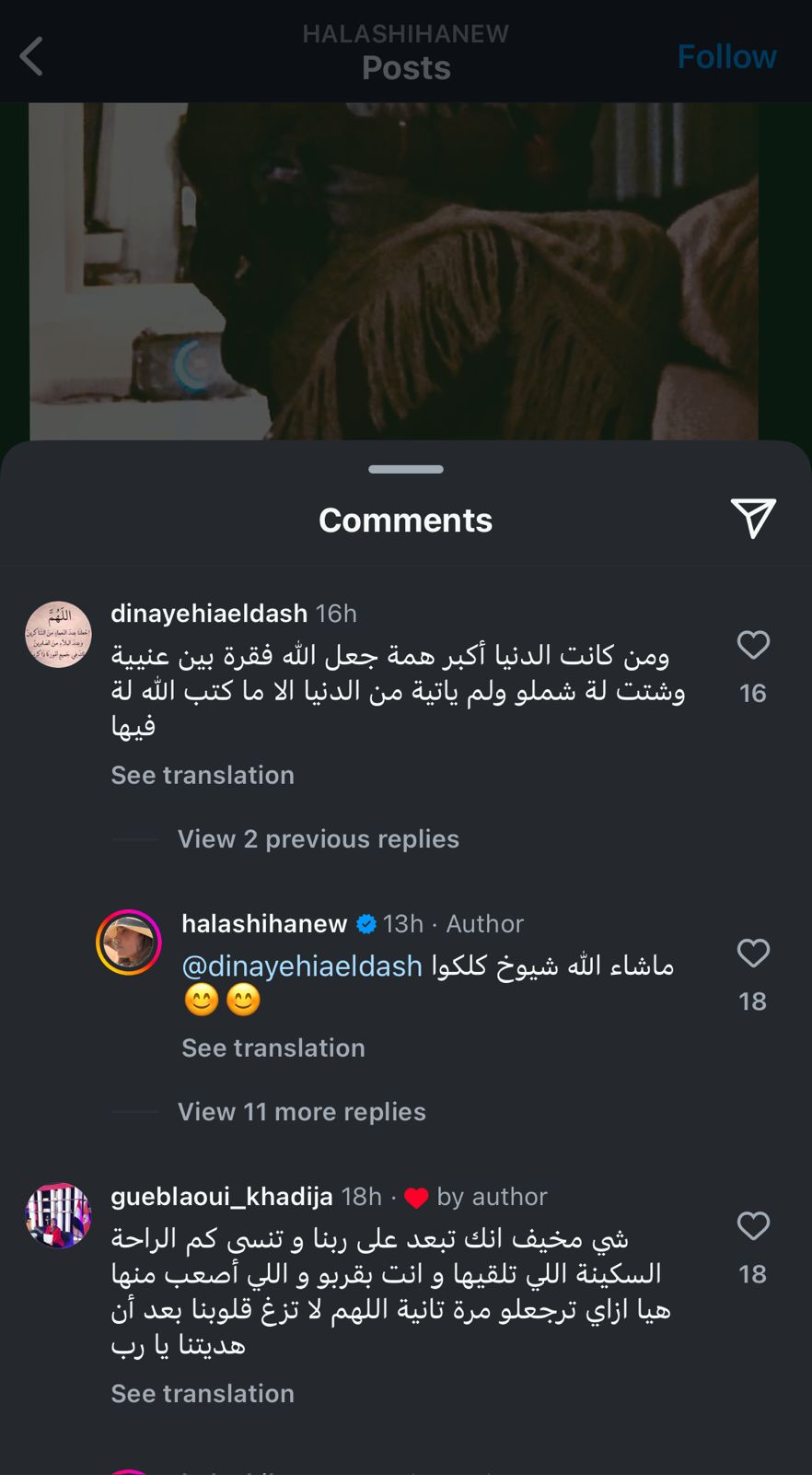 حلا شيحة