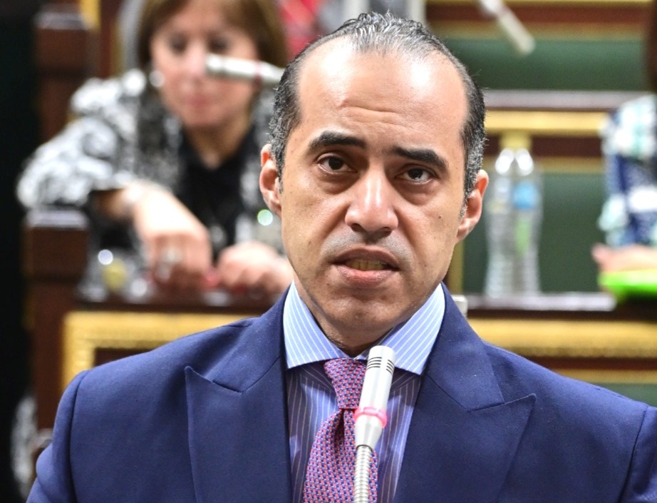 المستشار محمود فوزى، وزير الشئون النيابية