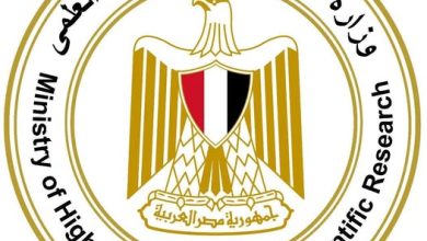 التعليم العالي